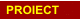 Proiect